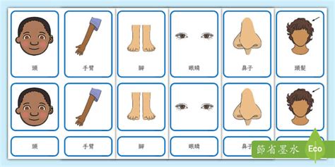 身體部位|3D 人體解剖圖庫 